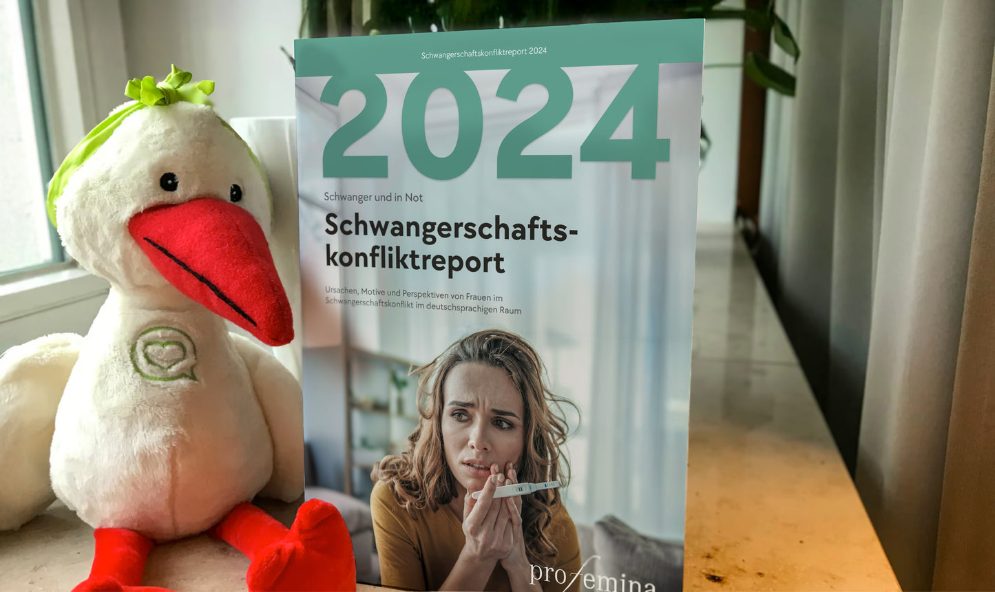 Schwangerschaftskonflikt-Report 2024
