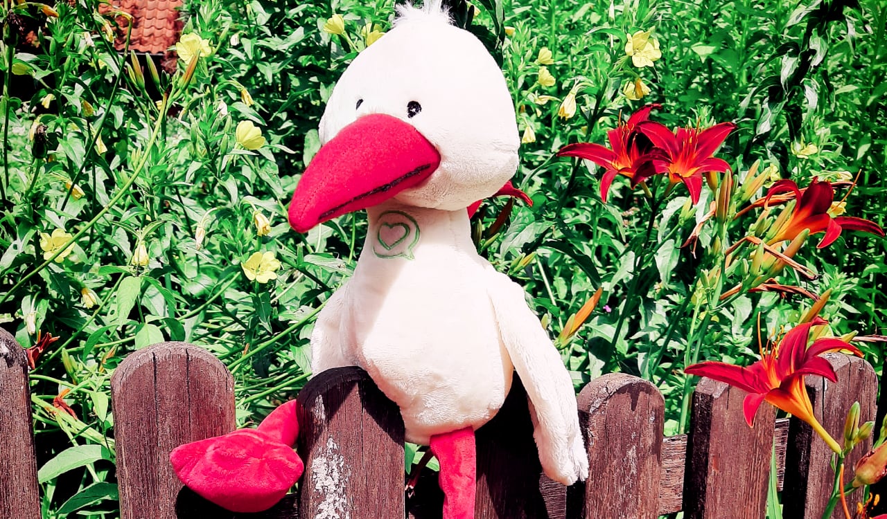 Der 1000plus-Storch